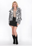 Gray Multicolor