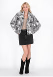 Gray Multicolor